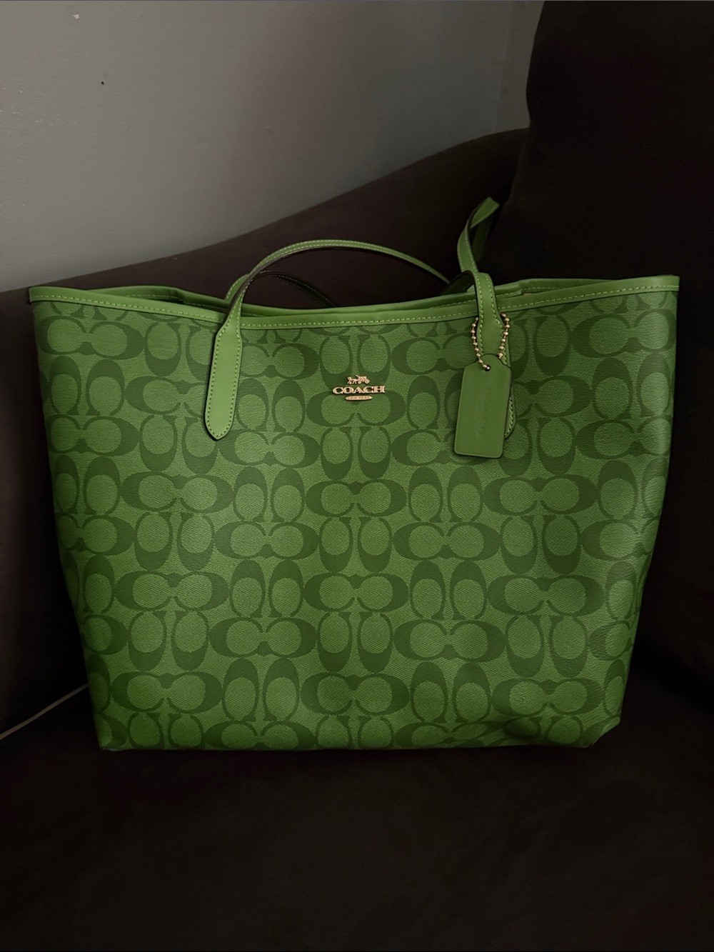 Coach Green Signature Canvas Tote Bag